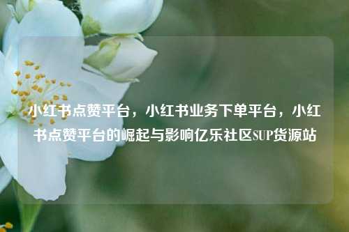小红书点赞平台，小红书业务下单平台，小红书点赞平台的崛起与影响亿乐社区SUP货源站  第1张